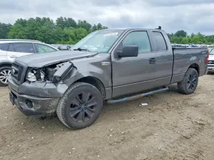 Ford F-150 4.6L 8 2008