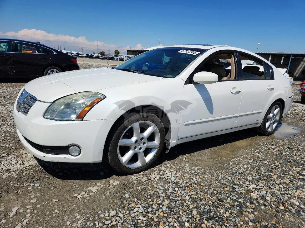 Nissan Maxima 3.5L 6 2005
