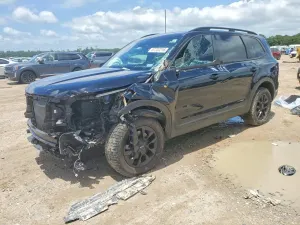 Kia Telluride 3.8L 6 2024