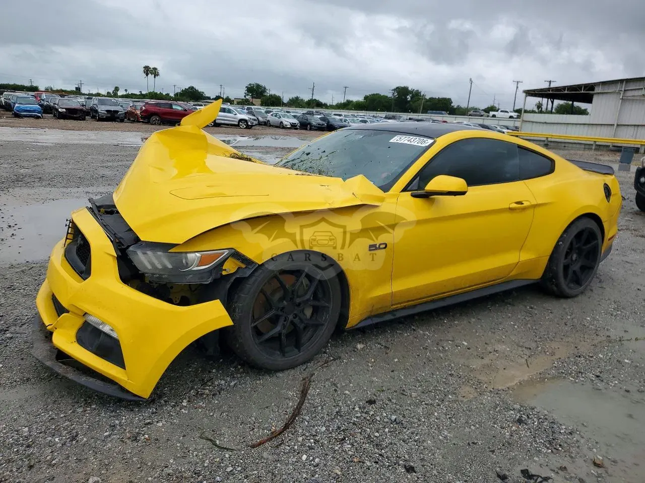 Ford Mustang 5.0L 8 2016