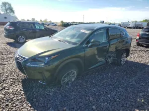 Lexus NX 2.0L 4 2021