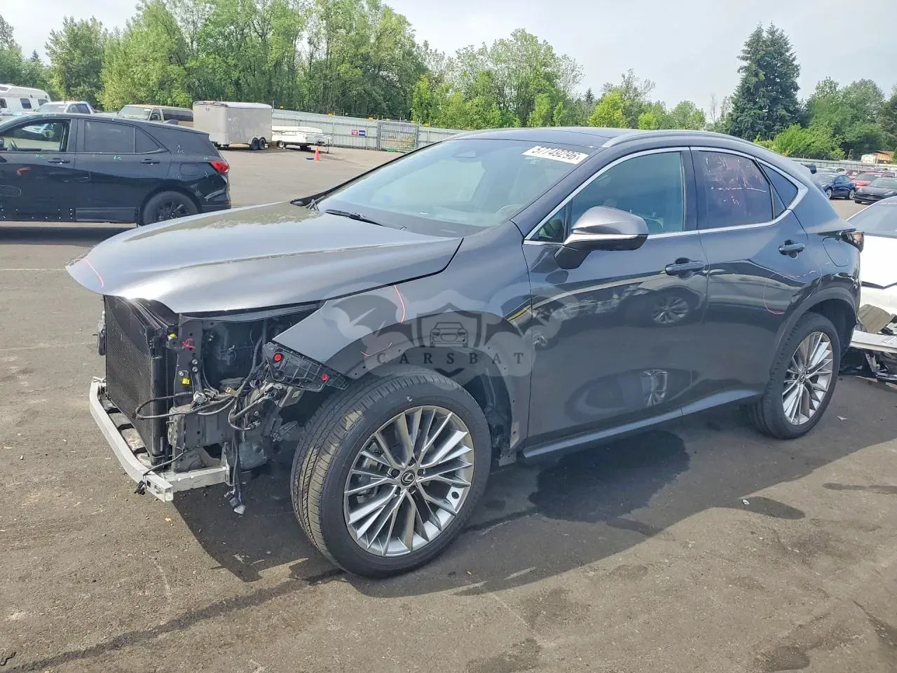 Lexus NX 2.4L 4 2024
