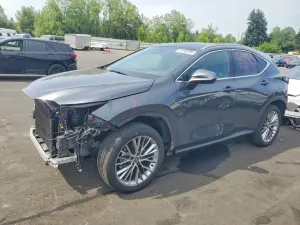 Lexus NX 2.4L 4 2024
