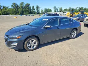 Chevrolet Malibu 1.5L 4 2019
