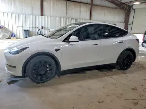 Tesla Model Y 2020