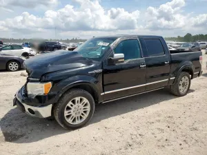 Ford F-150 SUPERCREW 5.4L 8 2010