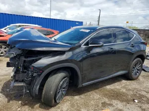 Lexus NX 2.5L 4 2024