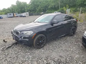 BMW X6 4.4L 8 2019