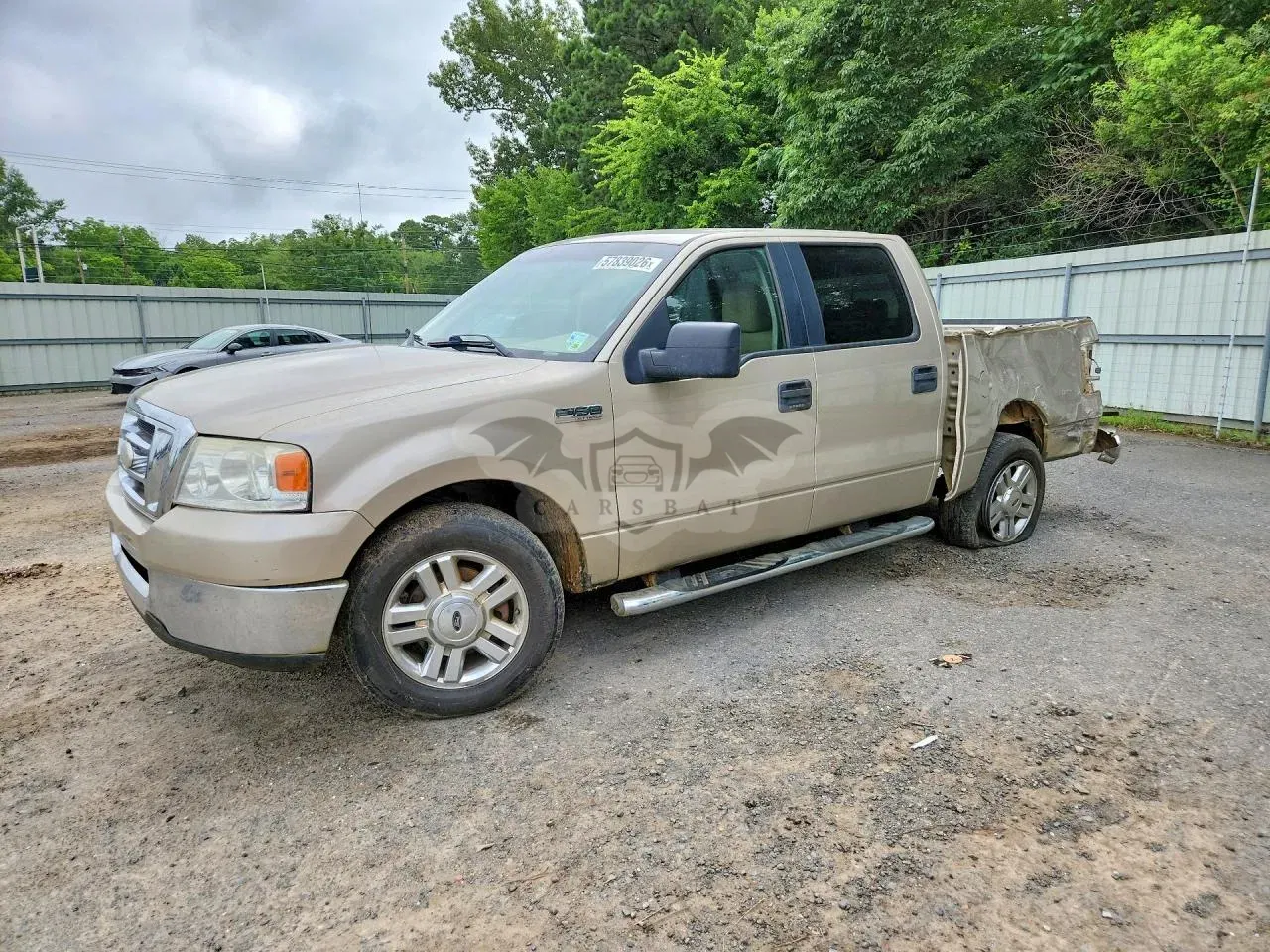 Ford F-150 4.6L 8 2007