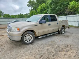 Ford F-150 4.6L 8 2007
