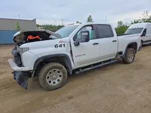 Chevrolet Silverado 1500 6.6L 8 2020
