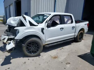 Ford F-150 5.0L 8 2024