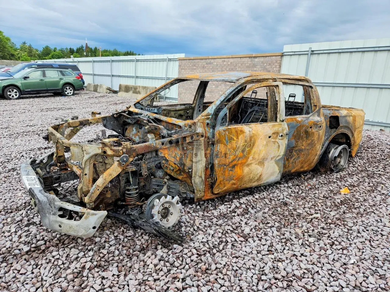 Ford Ranger 3.0L 6 2024