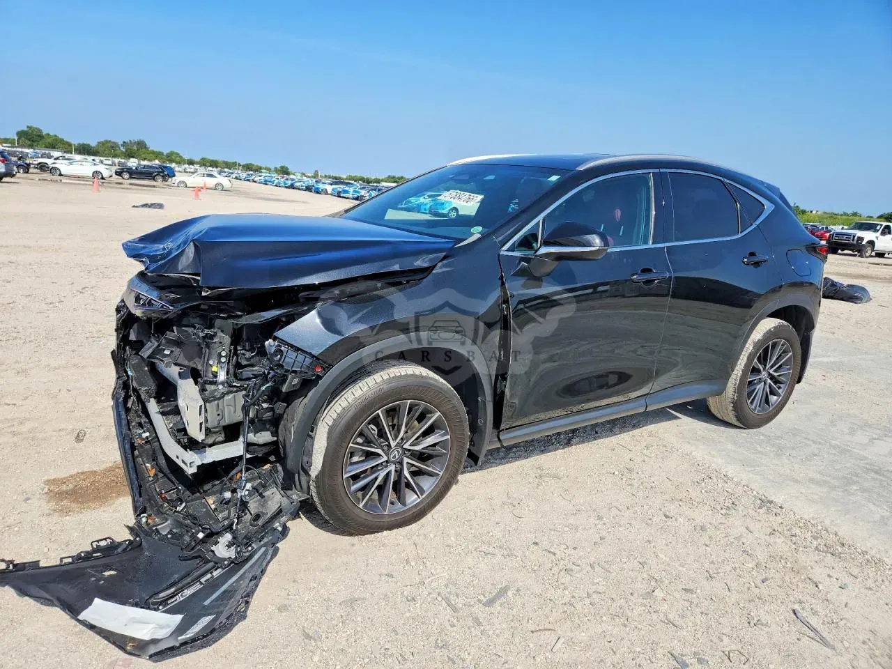 Lexus NX 2.5L 4 2024