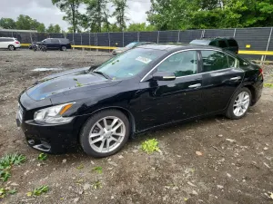 Nissan Maxima 3.5L 6 2010