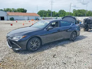 Lexus ES 3.5L 6 2024