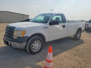 Ford F-150 4.6L 8 2010