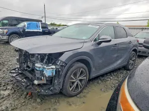 Lexus RX 2.4L 4 2023