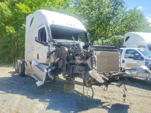 Freightliner Cascadia 14.8L 6 2019