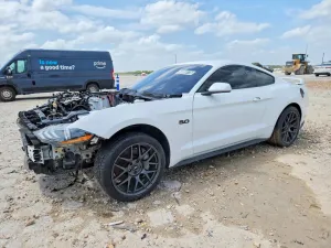 Ford Mustang 5.0L 8 2019