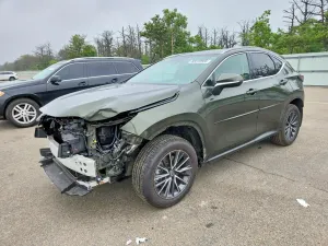 Lexus NX 2.4L 4 2022