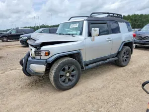 Toyota FJ Cruiser 4.0L 6 2007