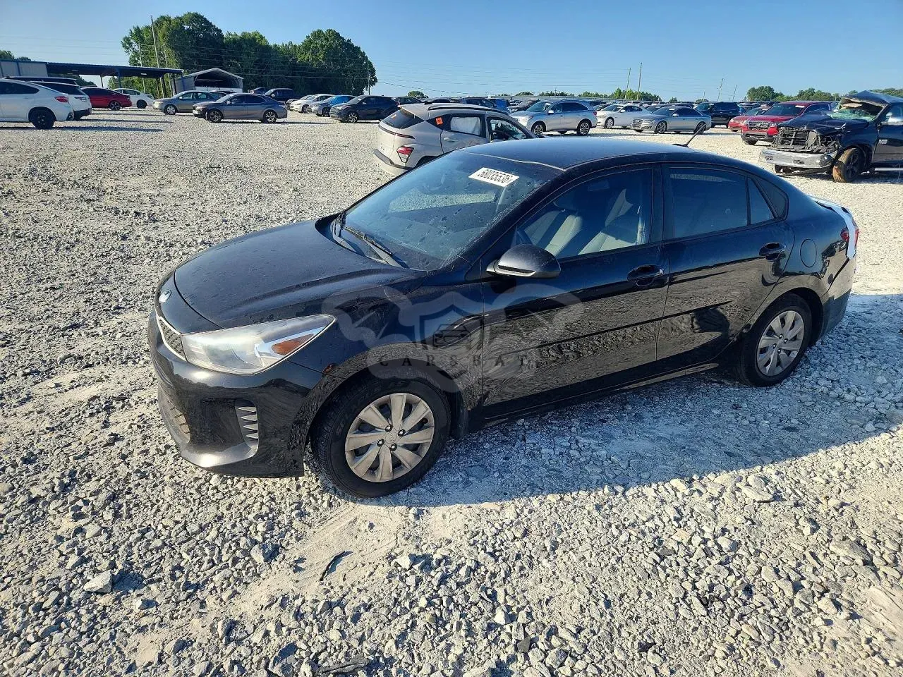 Kia Rio 1.6L 4 2019