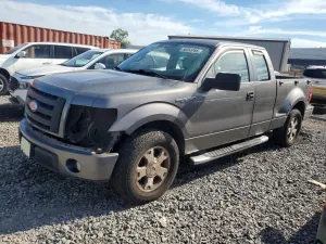 Ford F-150 4.6L 8 2009