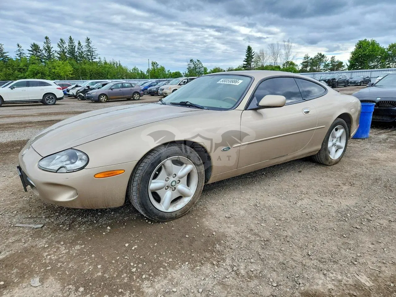 Jaguar XK 4.0L 8 1998