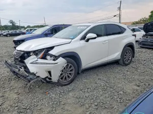 Lexus NX 2.0L 4 2020