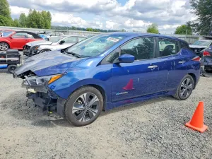 Nissan Leaf 0.0L 0 2019