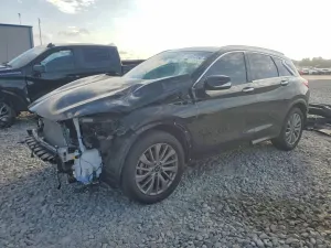 Infiniti QX50 2.0L 4 2024