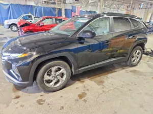 Hyundai Tucson 2.5L 4 2024