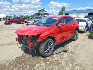 Lexus NX 2.4L 4 2022