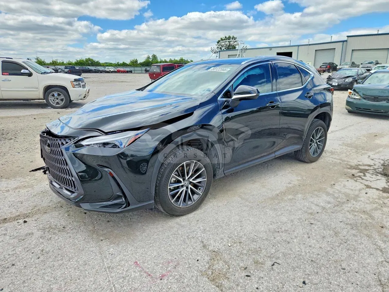 Lexus NX 2.4L 4 2024