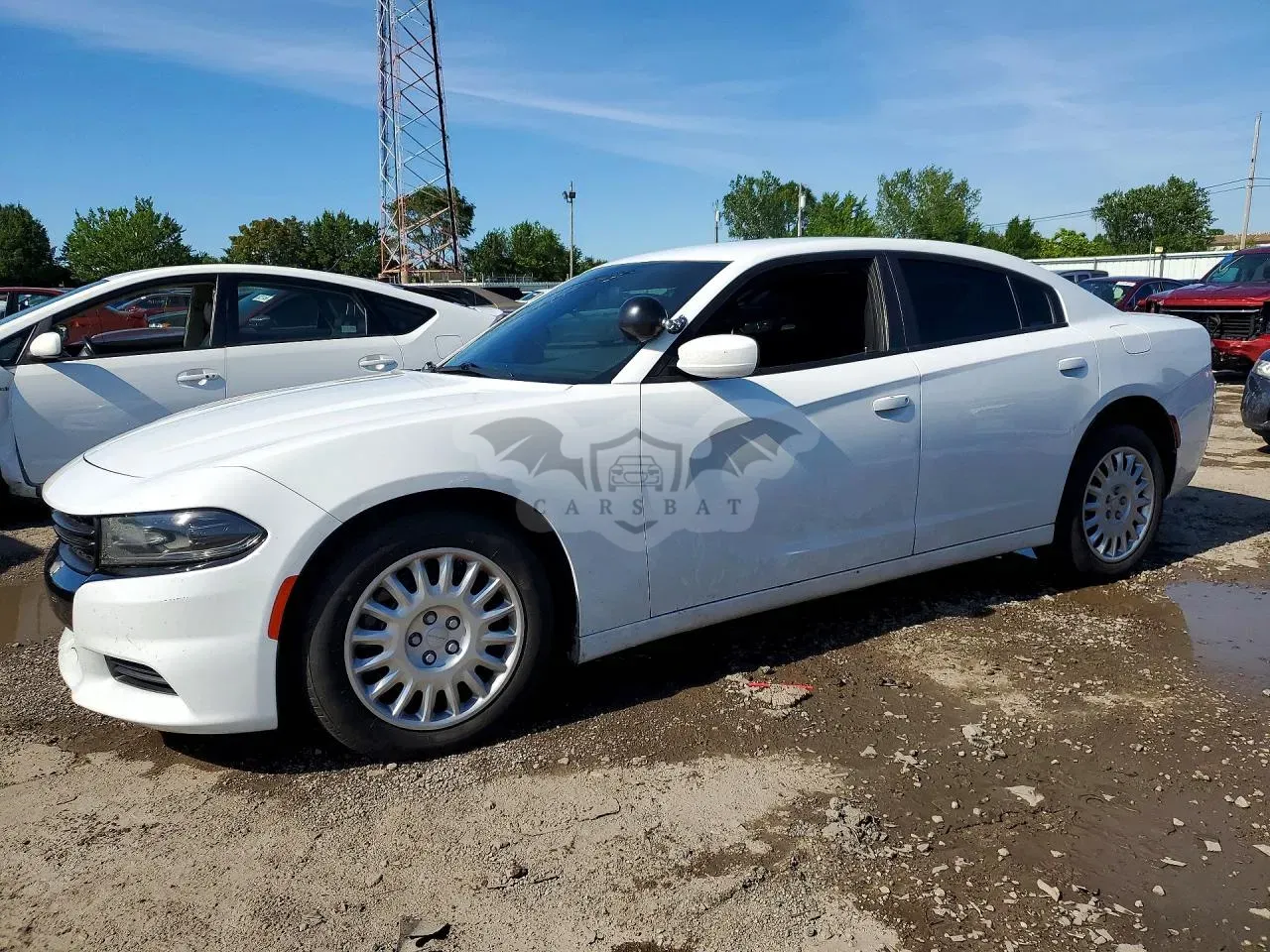 Dodge Charger 5.7L 8 2019