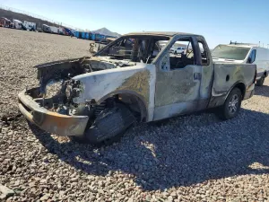 Ford F-150 4.6L 8 2007