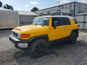 Toyota FJ Cruiser 4.0L 6 2007