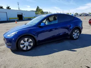 Tesla Model Y 2020