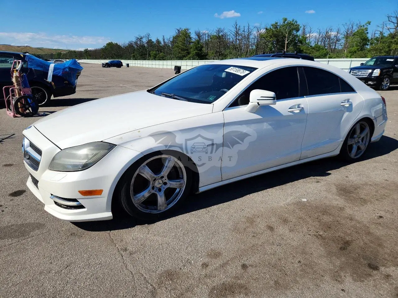 Mercedes-Benz CLS 4.6L 8 2012
