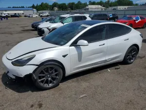 Tesla Model 3 2019