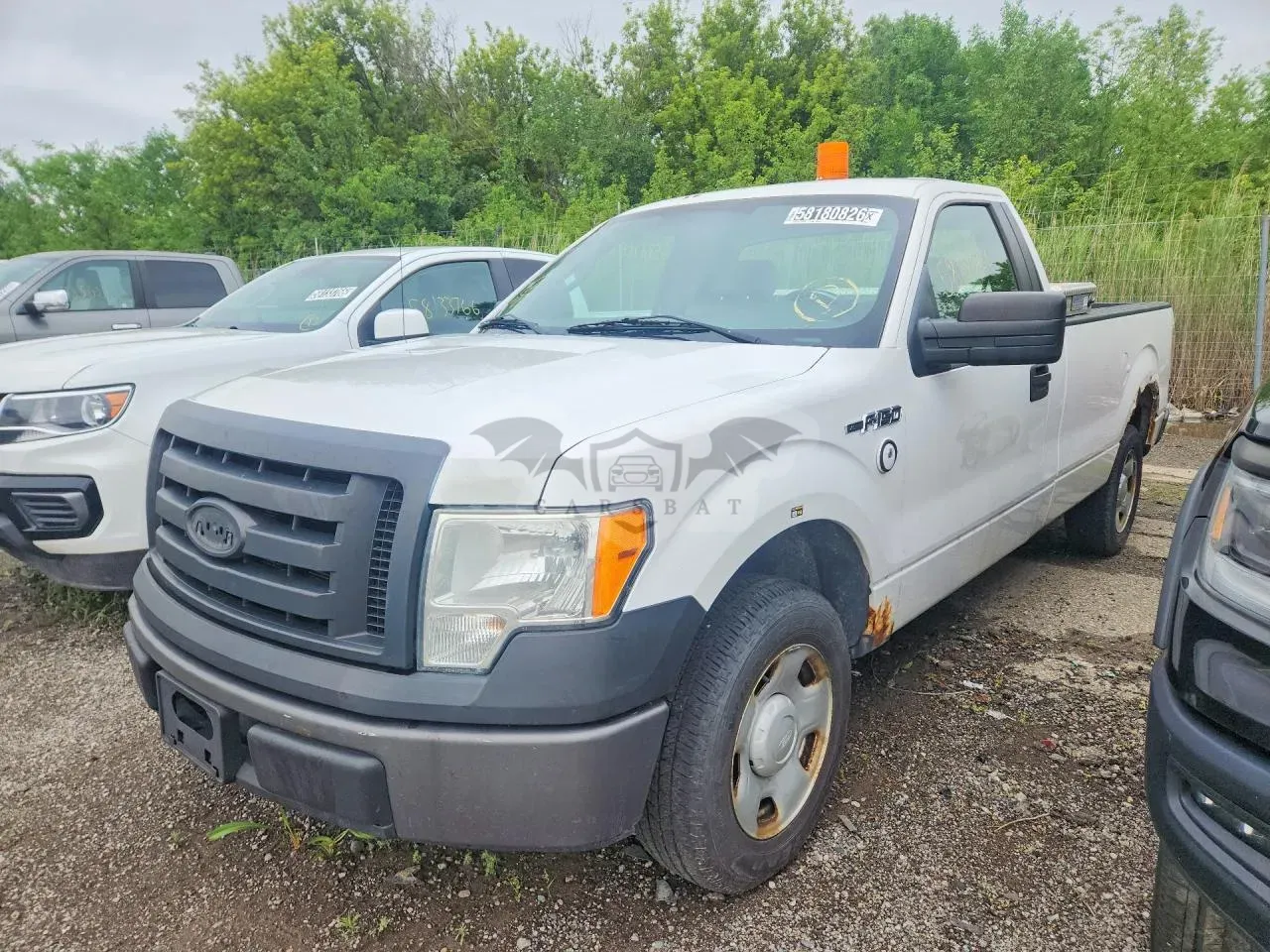Ford F-150 4.6L 8 2009