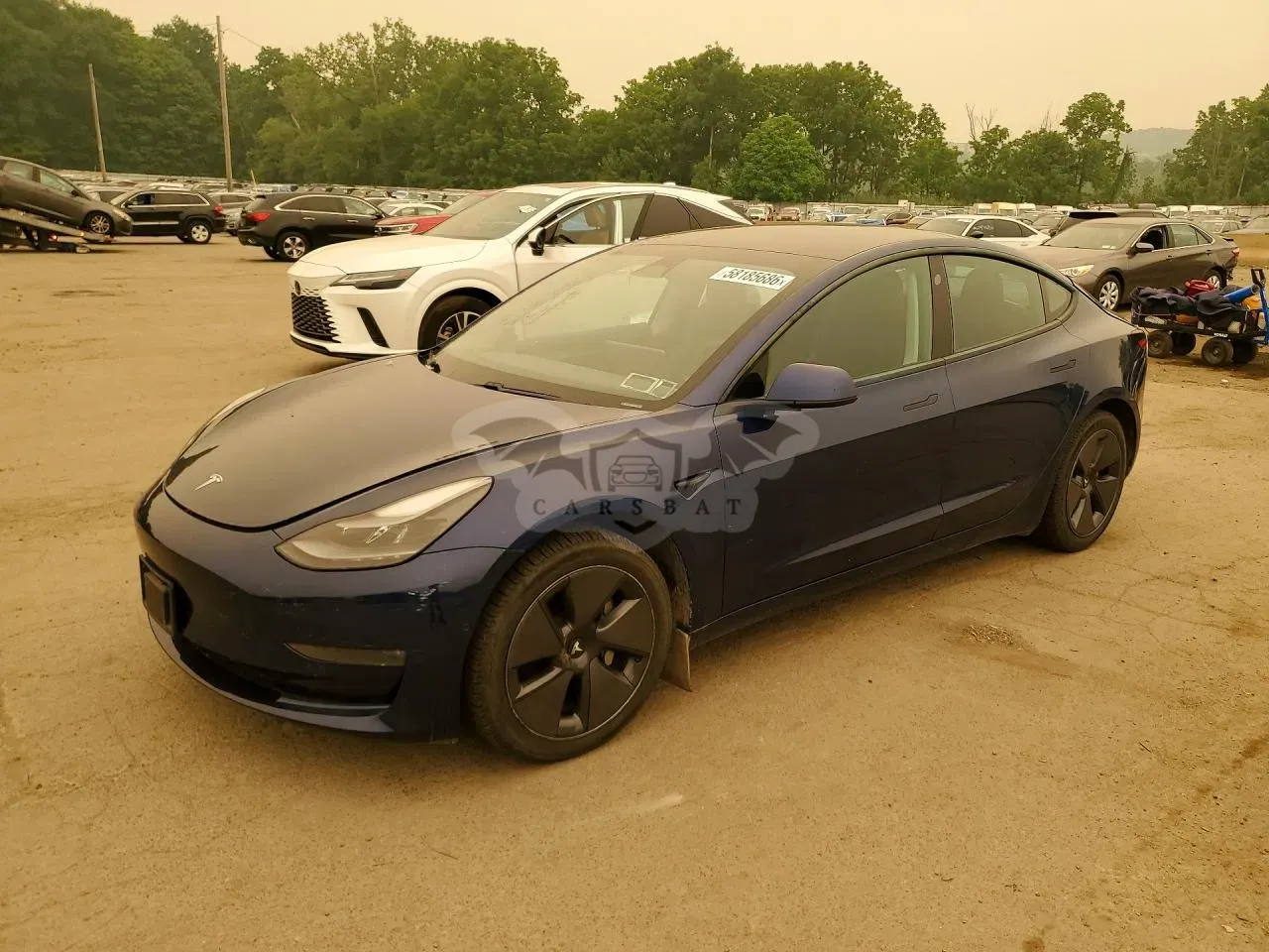 Tesla Model 3 2021