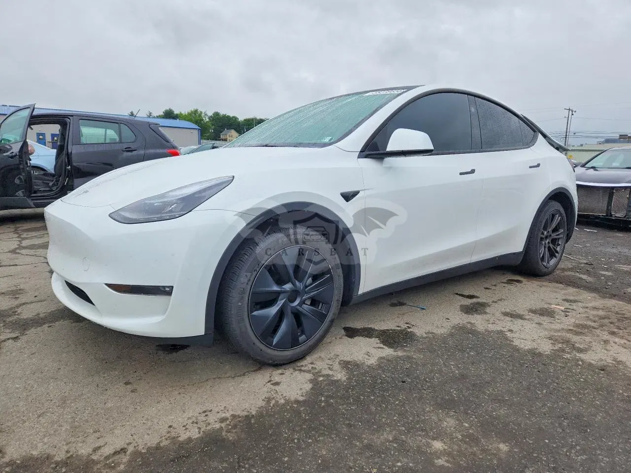 Tesla Model Y 2024
