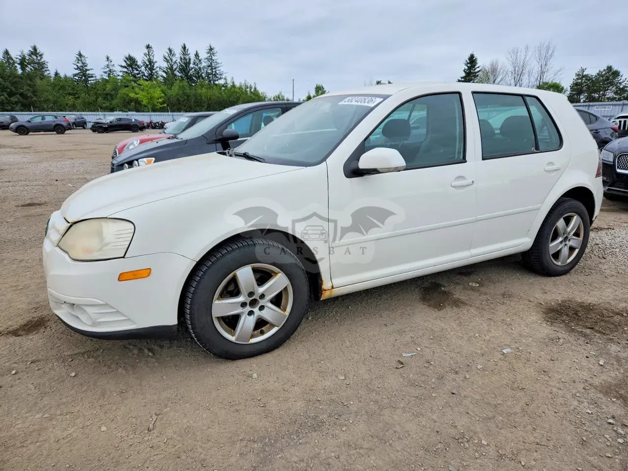 Volkswagen Golf 2.0L 4 2009