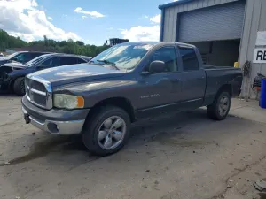 Dodge RAM 4.7L 8 2002