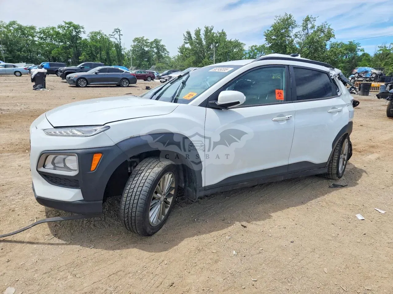 Hyundai Kona 2.0L 4 2019