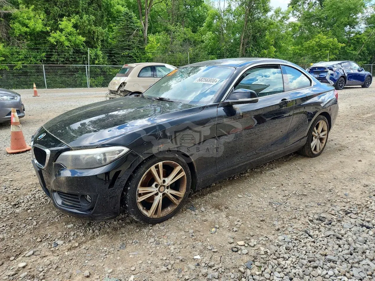 BMW 2 Series 2.0L 4 2015