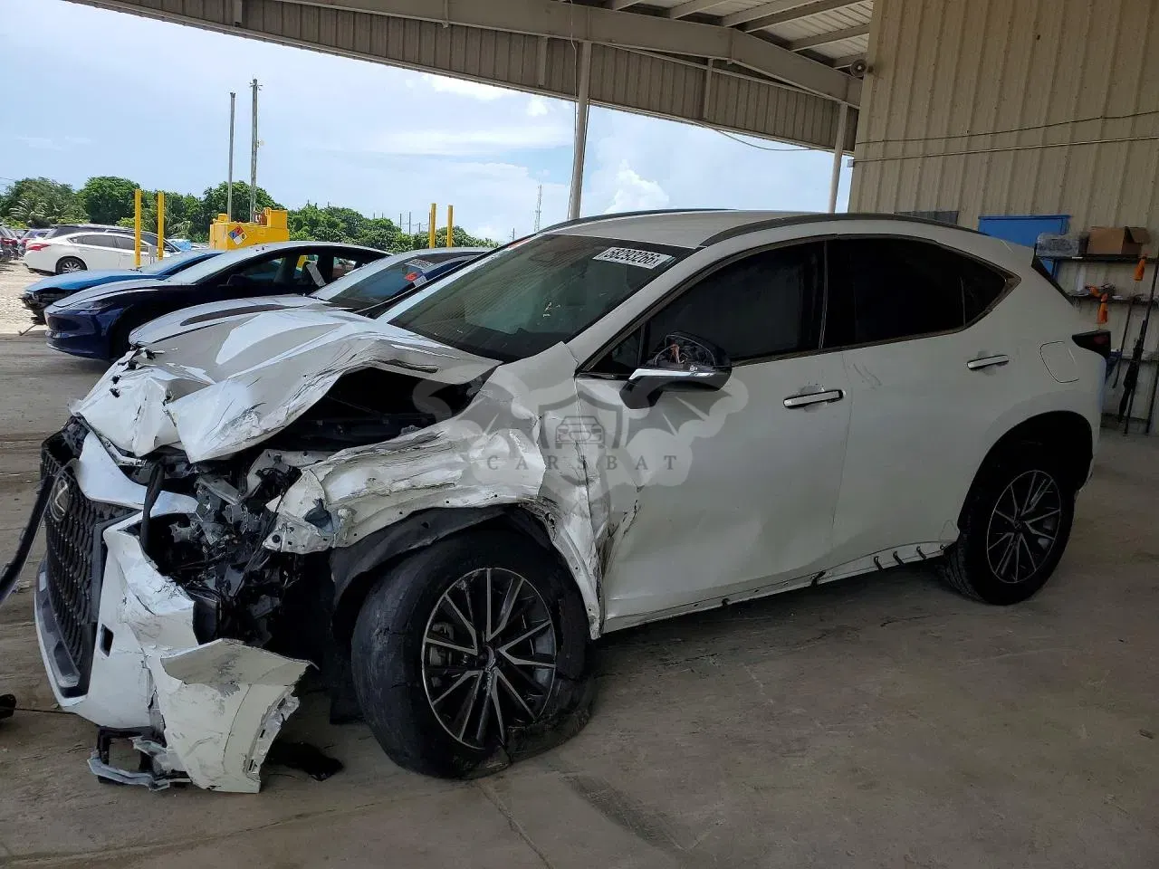 Lexus NX 2.5L 4 2024
