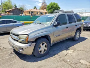 Chevrolet Trailblazer 4.2L 6 2002
